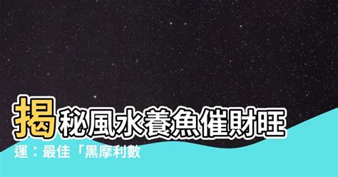 黑摩利數目|【黑摩利數目】「黑摩利數目: 資助你的魚缸催財化煞的秘訣」